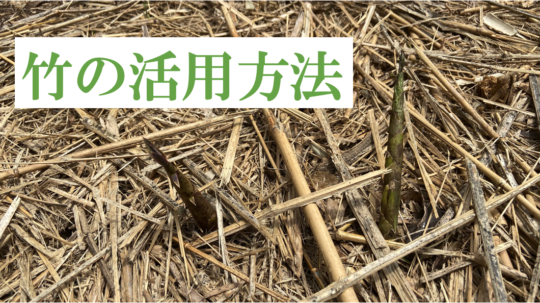 開拓コラム｜竹の活用方法