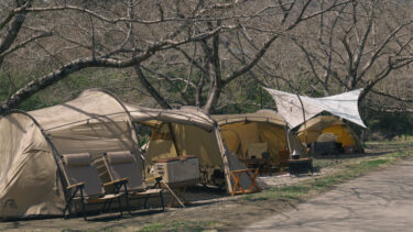 CAMP #88｜桜の下で花見”未遂”キャンプ