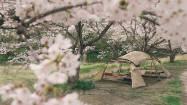 CAMP #89｜桜の下でリベンジ花見キャンプ